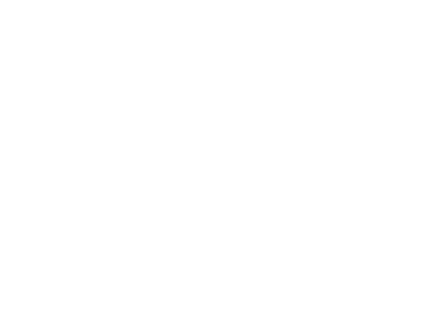 brand-logo4