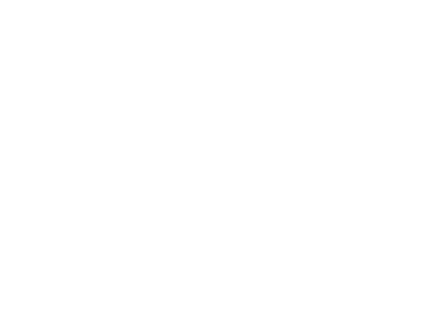brand-logo9